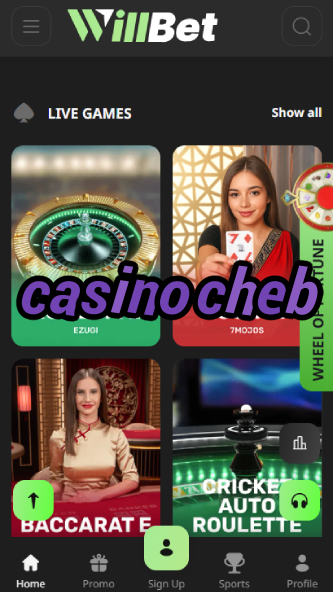 Casino Cheb - Czech Republic Casino Experience-www.bdqngd.com